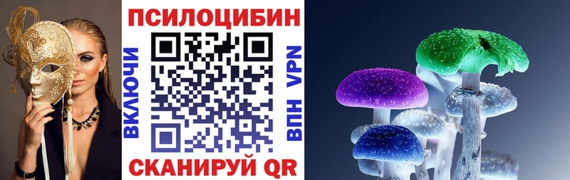 Галлюциногенные грибы GOLDEN TEACHER  магазин продажи   KRAKEN   Хвалынск 